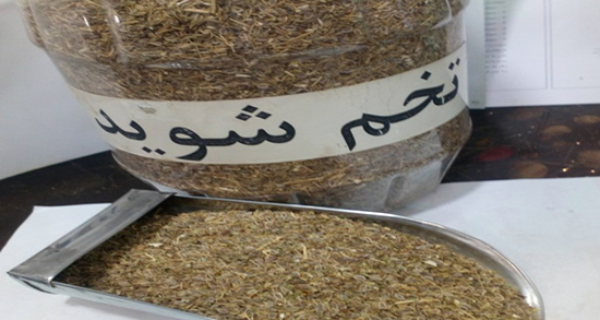 خواص میتخم و بادیون ؛ فواید مصرف میتخم و بادیون برای لاغری شکم