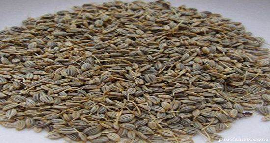 خواص میتخم چیست ؛ خاصیت مصرف میتخم تازه برای رفع عفونت کلیه