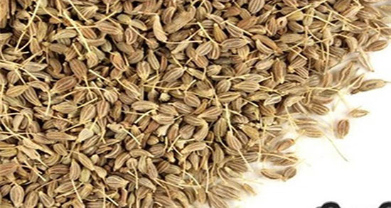 خواص و مضرات دمنوش انیسون ؛ فواید و مضرات دمنوش انیسون برای چاقی