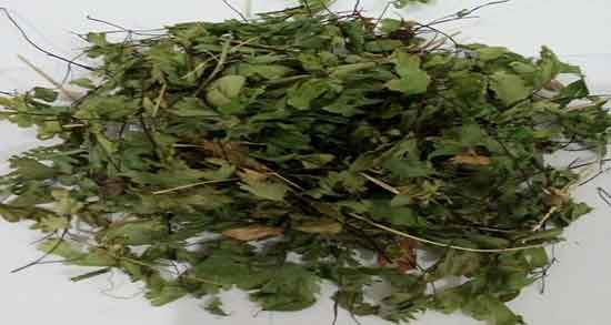 خواص پرسیاوشان برای نوزاد ؛ خاصیت استفاده از پرسیاوشان برای کودکان