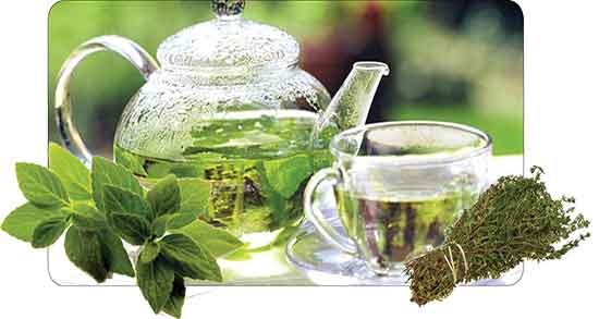خواص چای آویشن برای کودکان ؛ خاصیت چای آویشن برای اطفال چیست