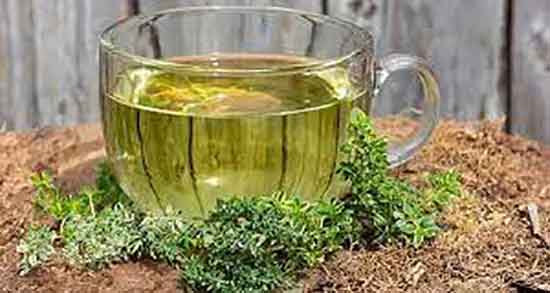 خواص چای آویشن و دارچین ؛ خوردن چای آویشن و دارچین برای شیردهی