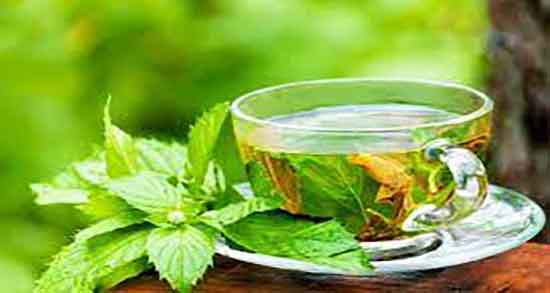 خواص چای پونه کوهی ؛ فواید مصرف چای پونه کوهی برای سرماخوردگی