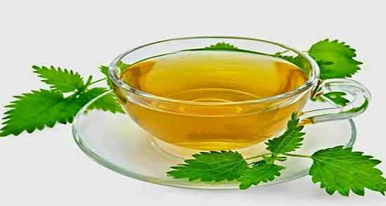 خواص چای گزنه برای لاغری ؛ فواید مصرف چای گزنه برای چربی سوزی بدن