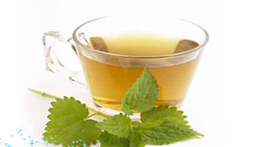 خواص چای گزنه برای معده ؛ خاصیت خوردن چای گزنه برای تقویت معده
