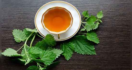 خواص چای گزنه و برگ زیتون ؛ فواید مصرف چای گزنه و برگ زیتون چیست