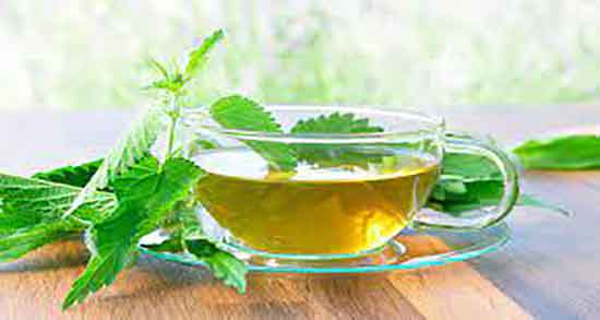 خواص چای گزنه چیست ؛ فواید مصرف چای گزنه برای پوست صورت