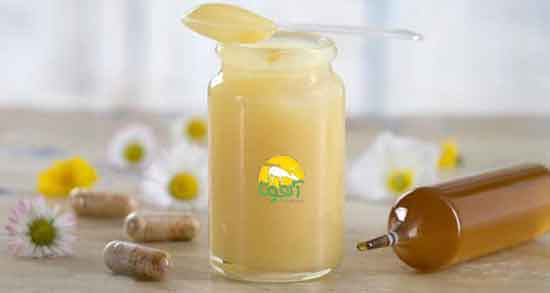 خواص ژل رویال برای معده ؛ خاصیت مصرف ژل رویال برای سرطان معده