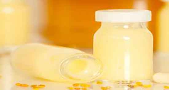 خواص ژل رویال و طریقه مصرف ؛ فواید مصرف ژل رویال در دوران پریودی