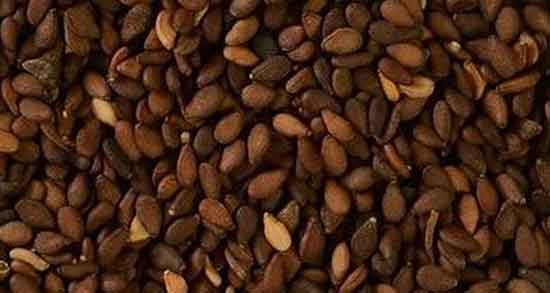 خواص کنجد قهوه ای در بارداری ؛ ایا خوردن کنجد قهوه ای در بارداری مفیده
