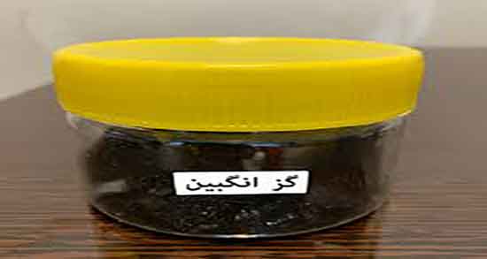 خواص گزانگبین برای زایمان ؛ خاصیت مصرف گزانگبین برای بارداری زنان