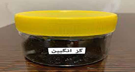 خواص گزانگبین در بارداری ؛ فواید مصرف گزانگبین در دوران حاملگی