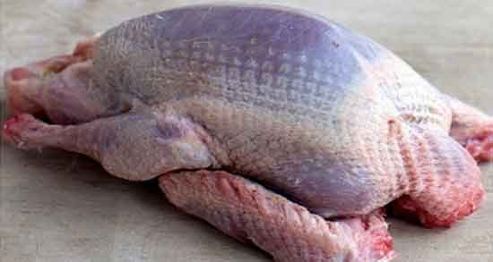 خواص گوشت کبوتر برای کرونا ؛ مقابله با ویروس کرونا با خوردن گوشت کبوتر