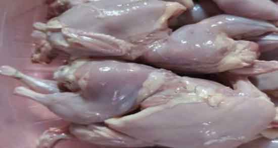 خواص گوشت کبوتر در روایات ؛ خواص درمانی گوشت کبوتر در روایات بزرگان
