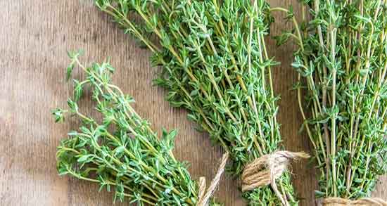 خوردن آذربه در بارداری و ایا خوردن گیاه اذربه در دوران بارداری زنان مفید است خوردن آذربه در بارداری ؛ ایا خوردن گیاه اذربه در دوران بارداری زنان مفید است