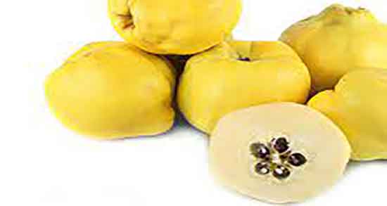 دانه به برای سرفه در بارداری ؛ بهترین زمان خوردن به دانه در دوران حاملگی دانه به برای سرفه در بارداری ؛ بهترین زمان خوردن به دانه در دوران حاملگی