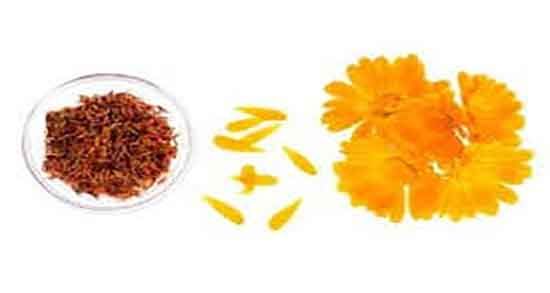 در مورد دمنوش گل همیشه بهار ؛ خاصیت دمنوش گل همیشه بهار چیست