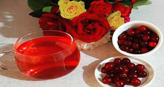 دمنوش آلبالو برای چی خوبه ؛ فواید مصرف دمنوش البالو برای چربی سوزی