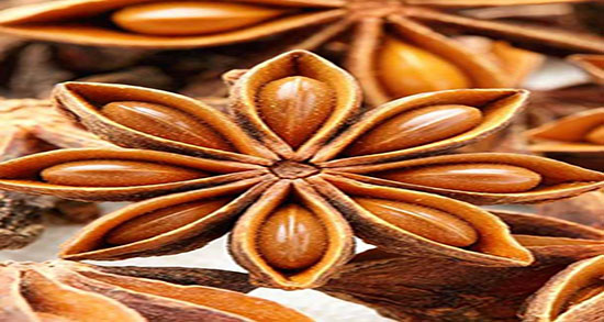 دمنوش انیسون چیست ؛ خاصیت دمنوش انیسون برای معده چیست