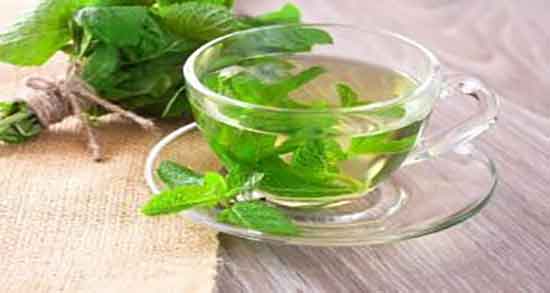 دمنوش ریحان برای چی خوب است ؛ ایا دمنوش ریحان برای لاغری مفیده