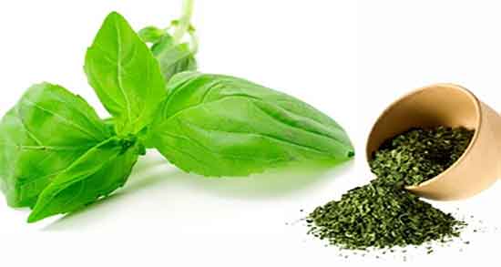 دمنوش ریحان و نعناع ؛ فواید و مضرات دمنوش ریحان و نعناع برای بدن