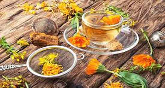 دمنوش گل همیشه بهار برای قاعدگی ؛ تسکین درد پریودی با گل همیشه بهار