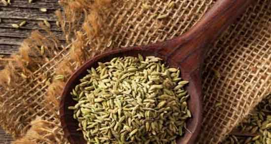 رازیانه در ماه چندم بارداری مصرف شود ؛ خوردن رازیانه را در ماه اخر بارداری
