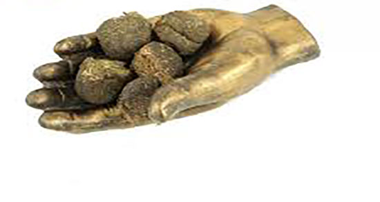 روش استفاده از عنبر نسارا ؛ دستور استفاده از عنبر نسارا برای عفونت گوش