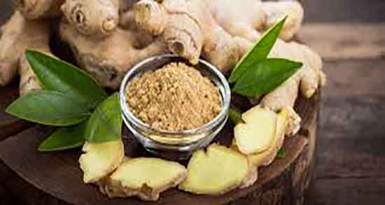 روش کاشت گیاه زنجبیل ؛ نحوه کاشت گیاه زنجبیل در گلخانه چگونه است