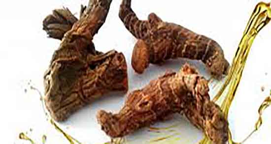 روغن خولنجان برای مو ؛ ماساژ مو با روغن خولنجان برای پرپشتی