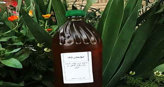 روغن خولنجان چیست ؛ خاصیت روغن خولنجان برای الت تناسلی اقایان