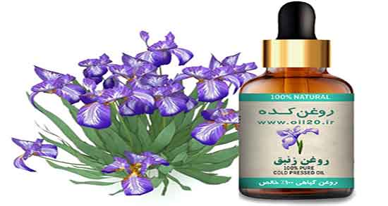روغن زنبق چیست ؛ خاصیت روغن زنبق چیست و برای چی خوب است