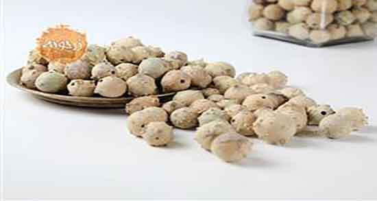 روغن مازو برای بواسیر ؛ خاصیت روغن مازو برای درمان بواسیر اقایان