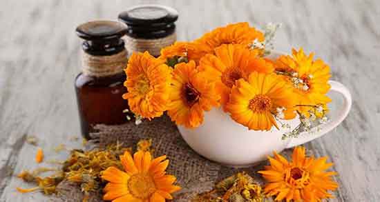 روغن همیشه بهار برای پوست ؛ فواید مصرف روغن همیشه بهار چیست