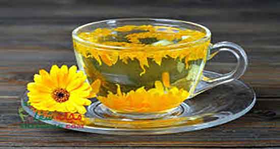 روغن گل همیشه بهار برای گوش ؛ مصرف روغن گل همیشه بهار برای گوش