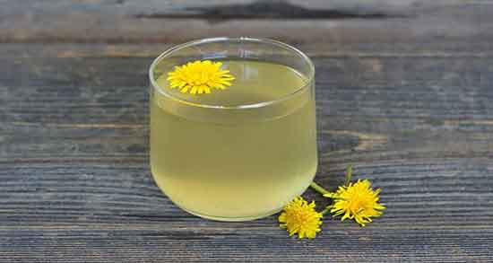 ریشه قاصدک چیست ؛ تاثیر ریشه قاصدک برای لاغری بدن چیست
