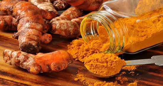زردچوبه برای گربه ؛ خواص و مضرات دادن زردچوبه به گربه
