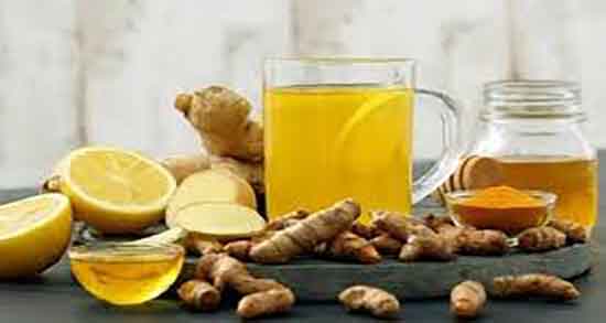 زنجبیل در ایران ؛ گیاه زنجبیل در کجای ایران بیشتر کشت میشود