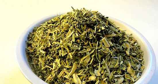 سداب چیست ؛ خواص گیاه سداب چیست + نام دیگر گیاه سداب چیه