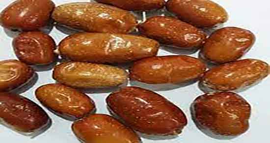 سنجد برای دیابت ؛ خاصیت خوردن سنجد برای قند خون زنان باردار