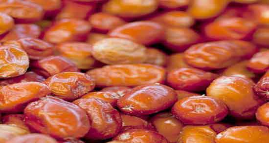 سنجد برای لاغری ؛ ایا خوردن سنجد برای لاغری کودکان مفید است