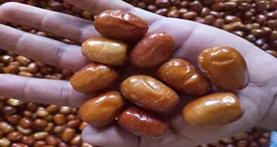 سنجد برای چی خوبه ؛ بهترین زمان مصرف پودر سنجد برای پوکی استخوان