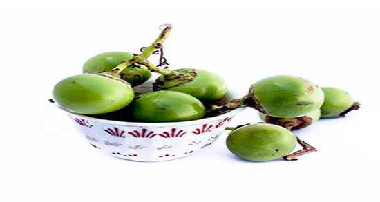 سپستان و لاغری ؛ نحوه مصرف سپستان برای لاغری از دکتر خیراندیش
