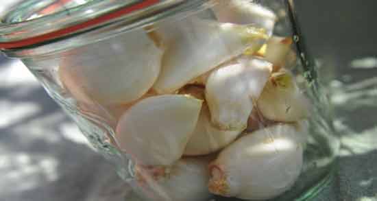 سیر و آبغوره نی نی سایت ؛ آشنایی با خاصیت دارویی خوردن سیر و آبغوره