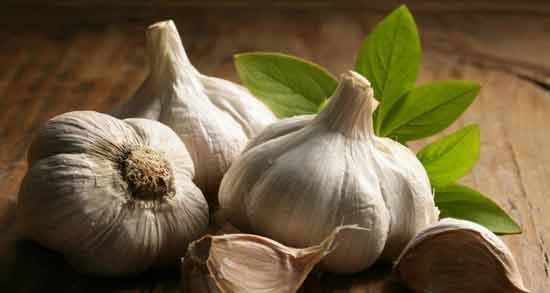 سیر و اسید اوریک ؛ تاثیر مصرف سیر برای اسید اوریک خون