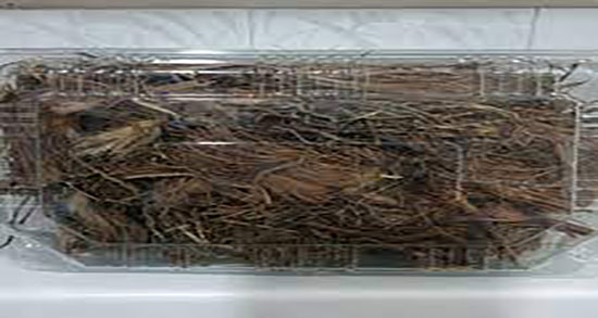 طبع اذخر ؛ طبع گیاه اذخر از نظر طب سنتی برای بدن سرد است یا گرم