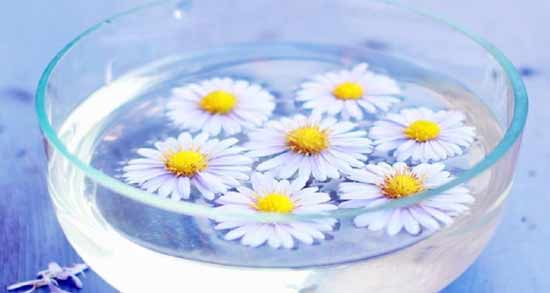 طبع بابونه و به لیمو ؛ طبیعت بابونه و به لیمو سرد است یا گرم؟
