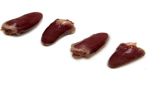طبع دل مرغ چیست ؛ طبع دل مرغ از نظر طب سنتی سرد است یا گرم