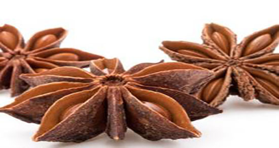 طبع دمنوش انیسون ؛ طبع انیسون از نظر طب سنتی سرد است یا گرم