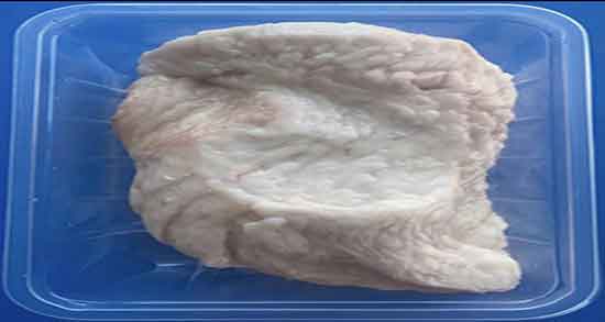 طبع دنبه ؛ ایا طبع دنبه گوسفندی از نظر طب سنتی برای بدن گرم است